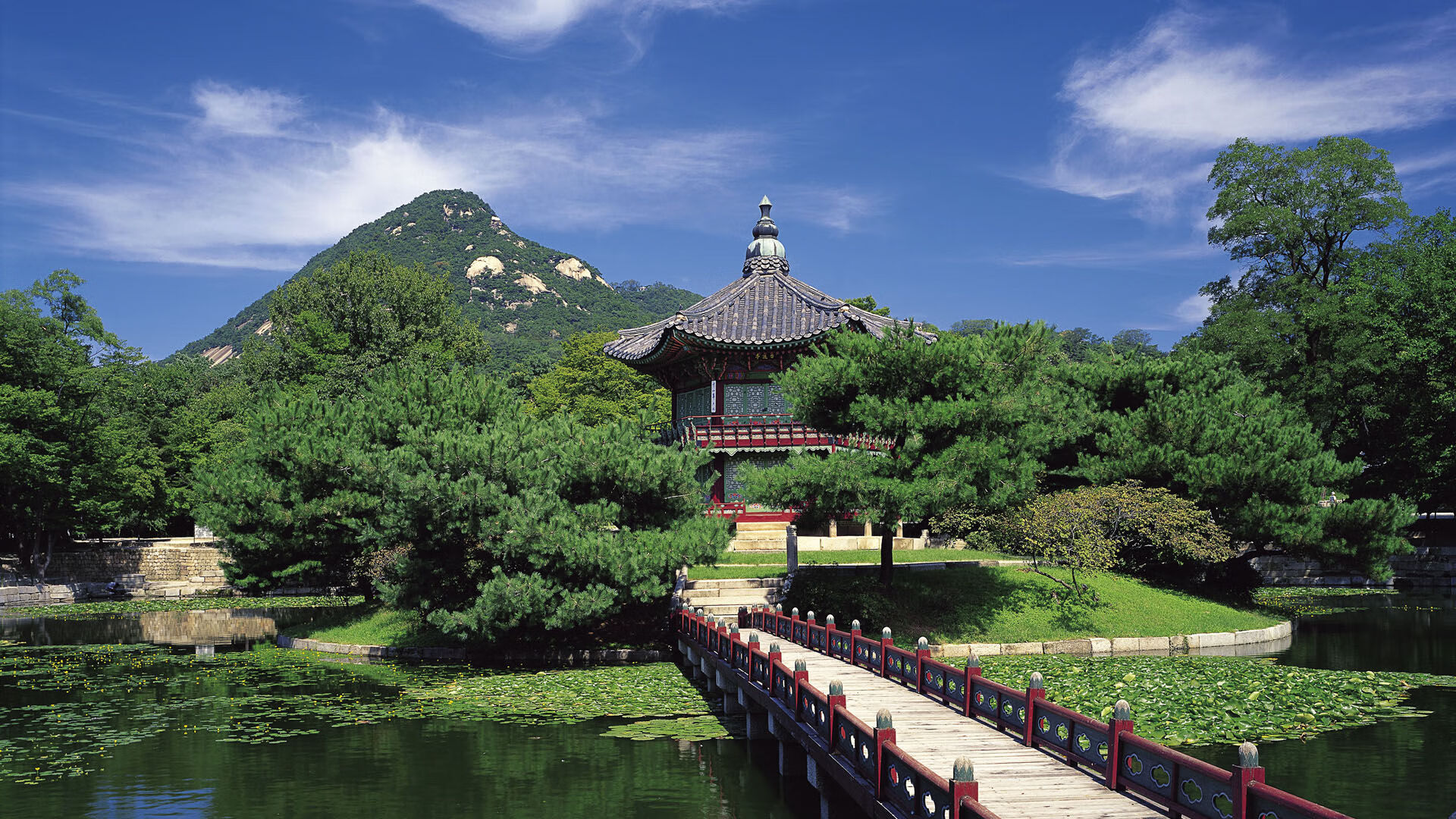 电竞俱乐部的运营管理：如何打造一支成功的电竞战队，电竞俱乐部运营与管理课程