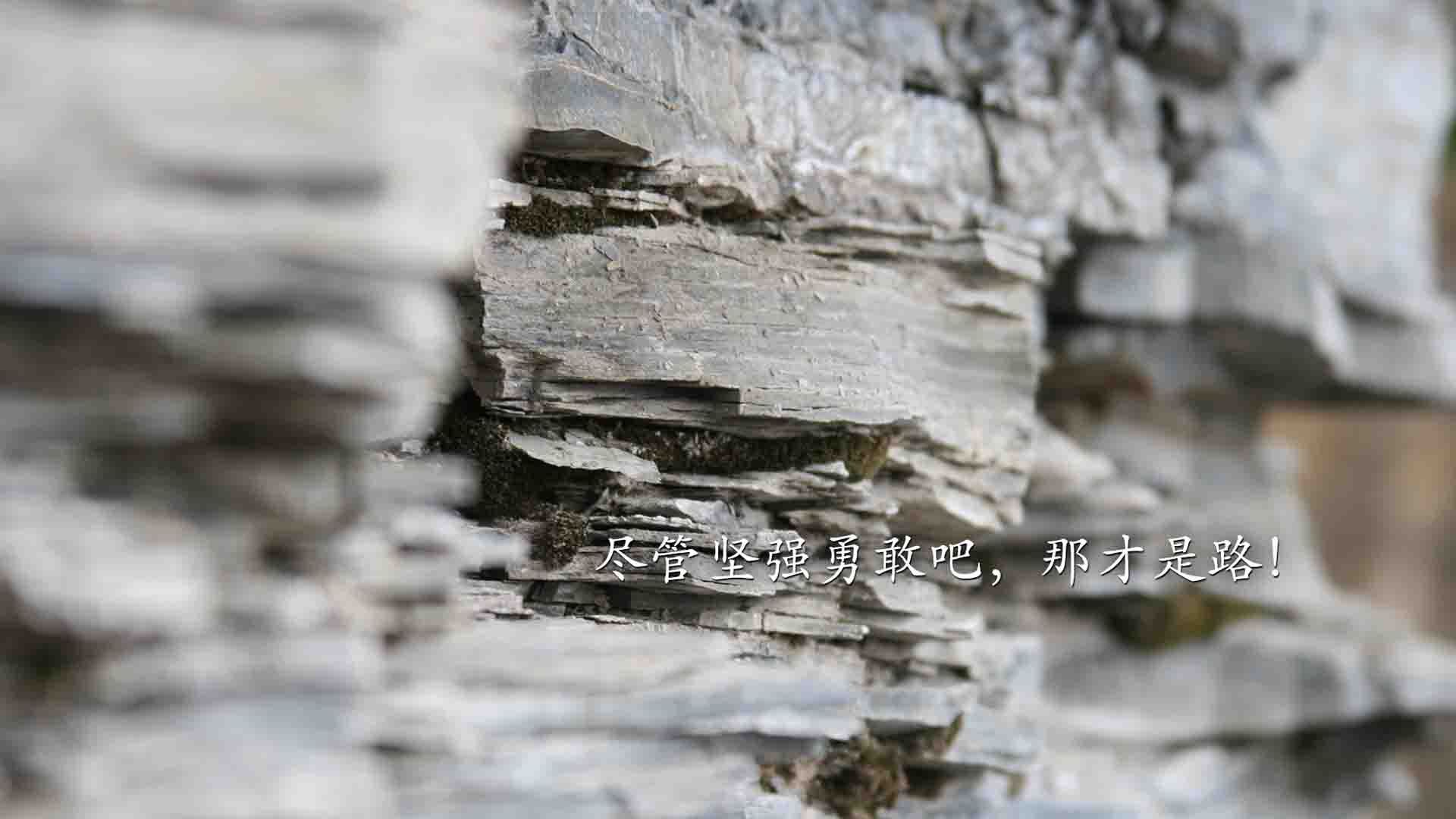 -篮球训练营引进专业体能测试设备，体育篮球测试