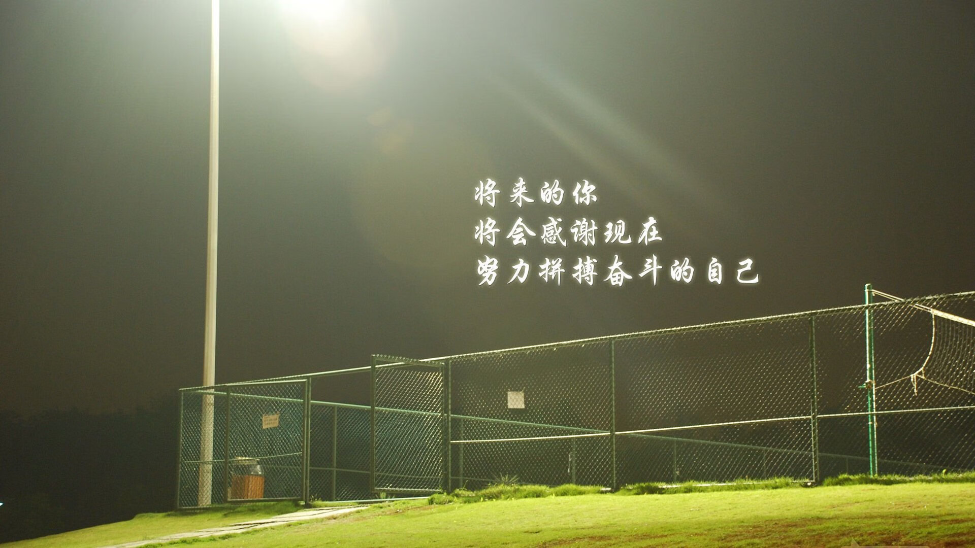 车队“暗战”潜规则：幕后布局与策略博弈，车队暗号