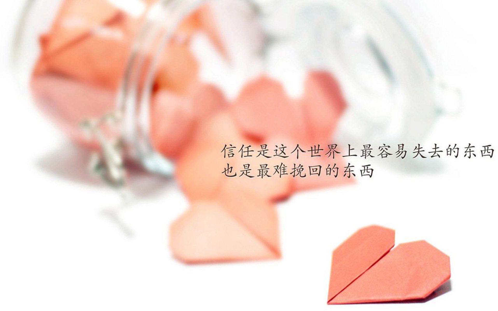 蹦床锦标赛：飞跃的艺术，蹦床决赛项目