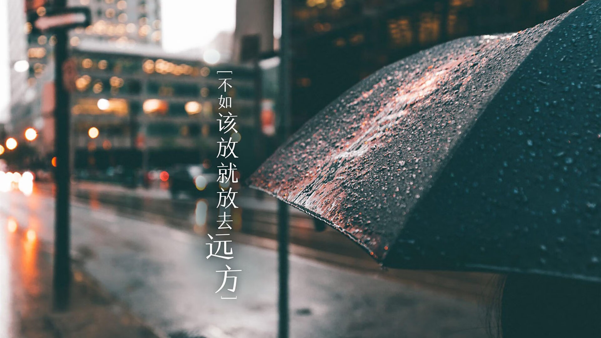 CBA球员集结合练，全力备战新赛季征程，cba新赛季集中比赛