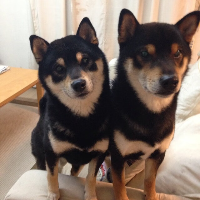 女足联赛年轻球员频频建功,女足青年队主教练