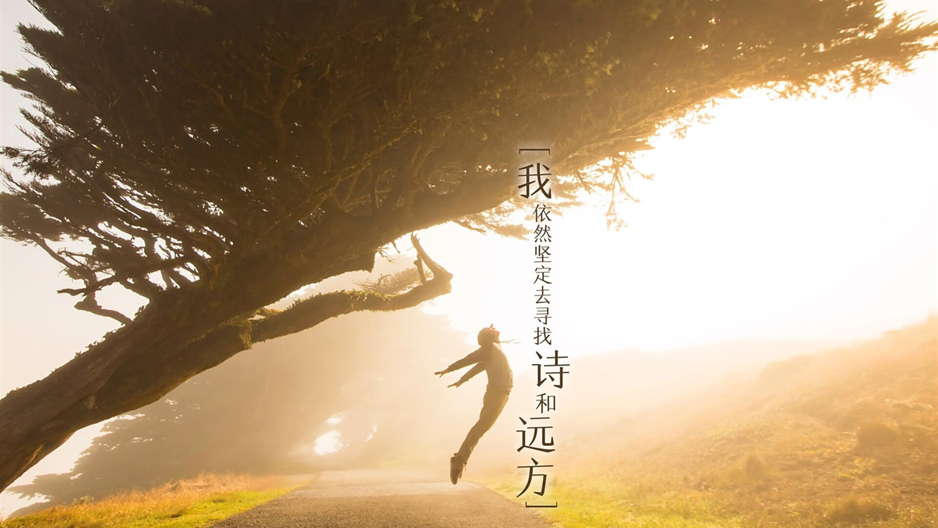 体育新闻中心建设面向基层的体育资讯服务平台，体育新闻专题报道