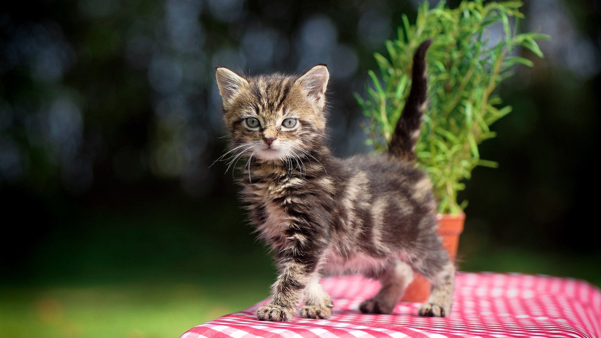 转身时间数据深度对比,转身的vlog