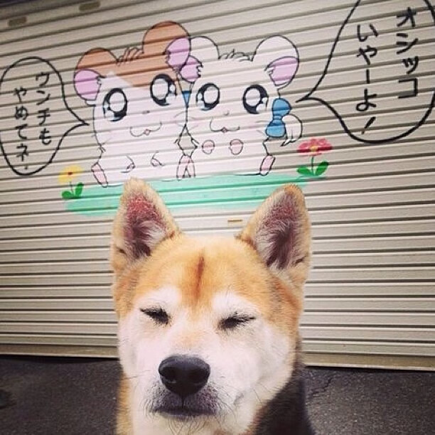 “帕布罗·马特拉的战术领袖角色，推动阿根廷美洲狮队迎接未来挑战”