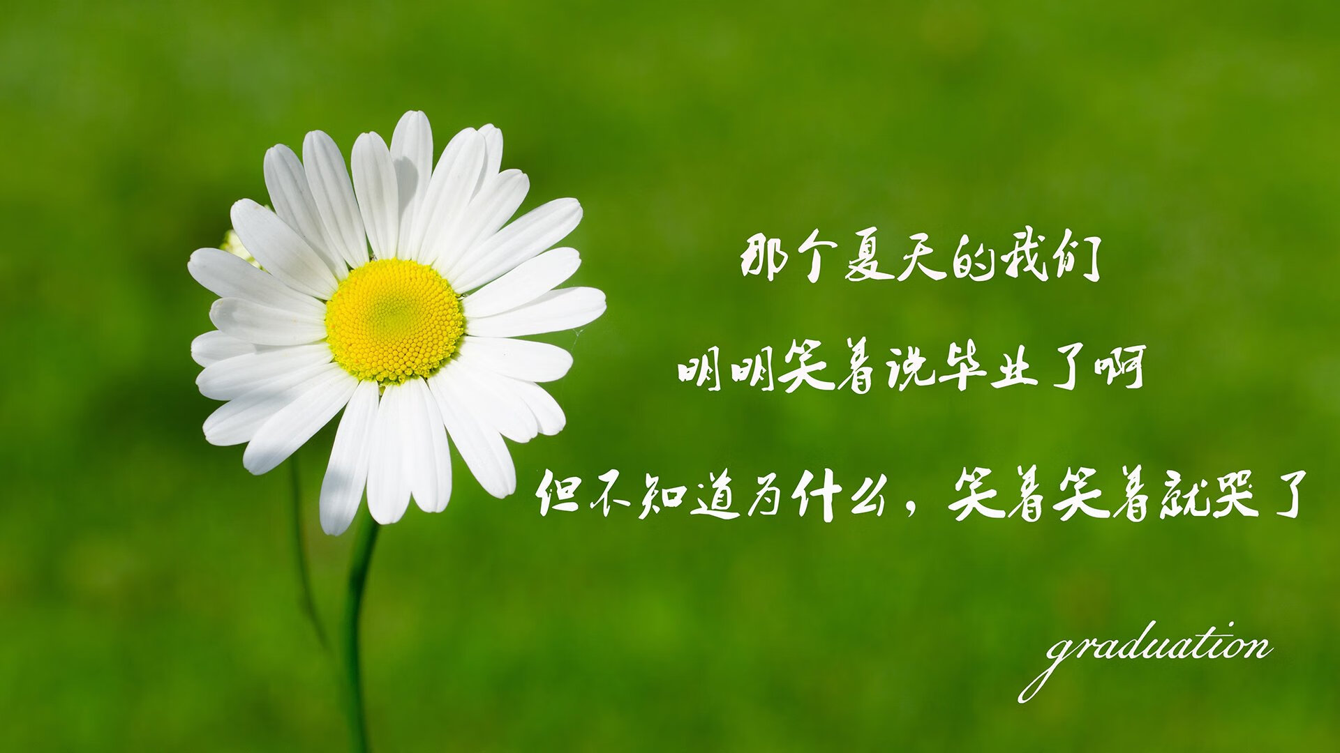 JiuyouAPP下载-拉莫斯正式加盟巴黎圣日耳曼，欧洲豪门大战再升级