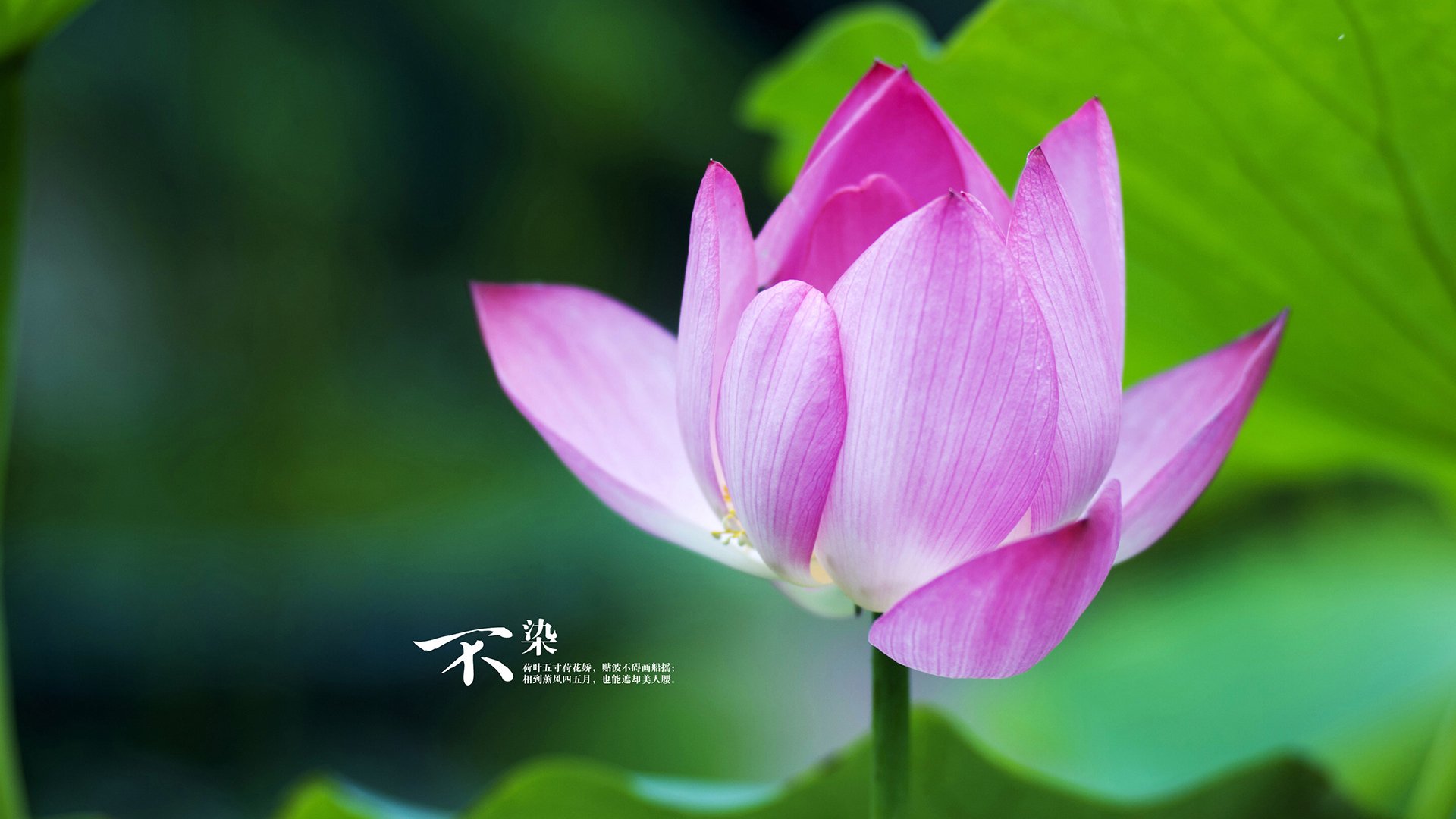 九游app下载中心-法甲场面火爆：跑位、射门、救球连续不断，法甲水平如何