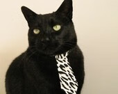 热火季前赛紧张赛程引媒体关注,2021热火季后赛