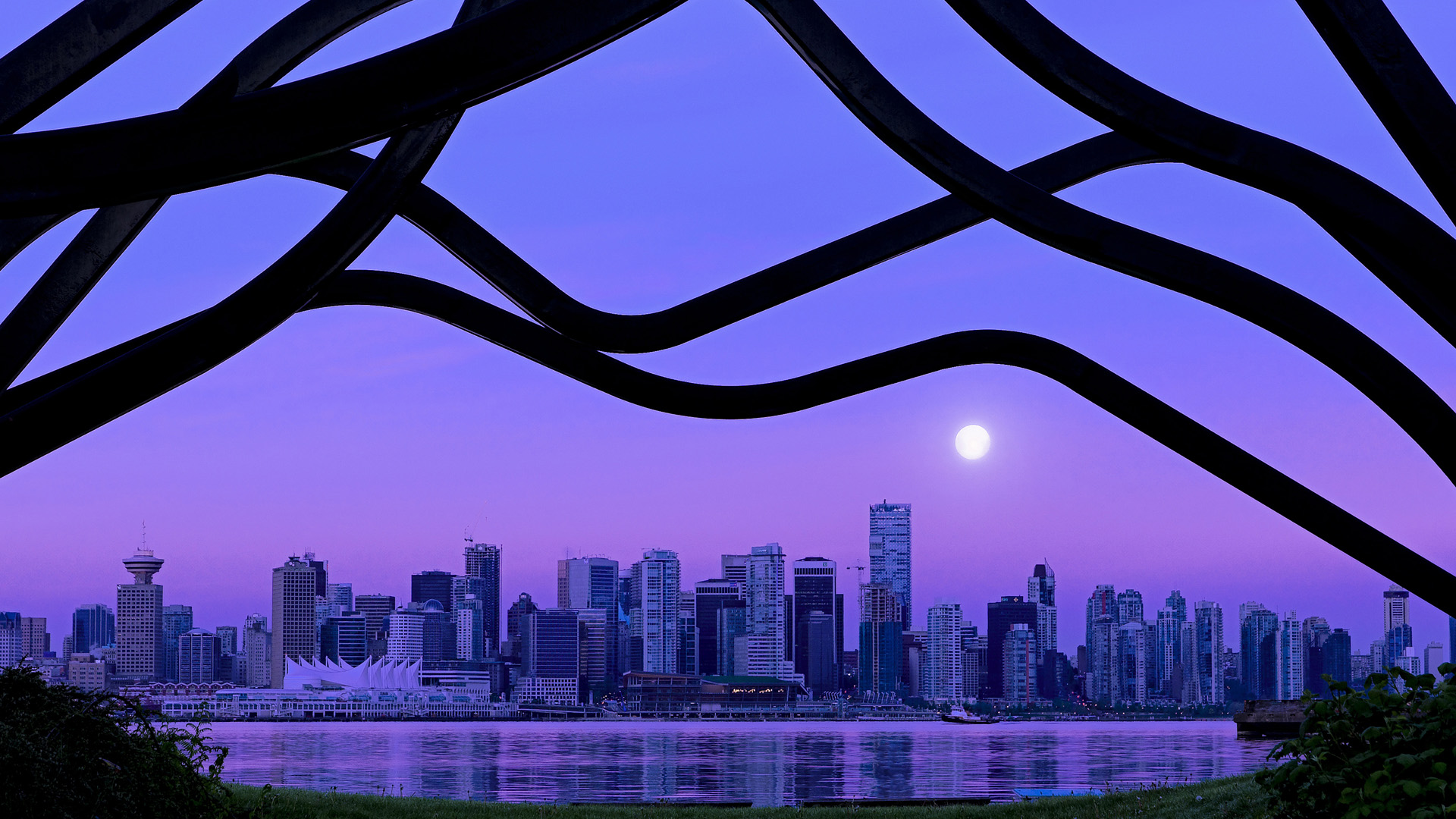 自由泳个人赛中立代表队A新星异军突起,自由泳中国队