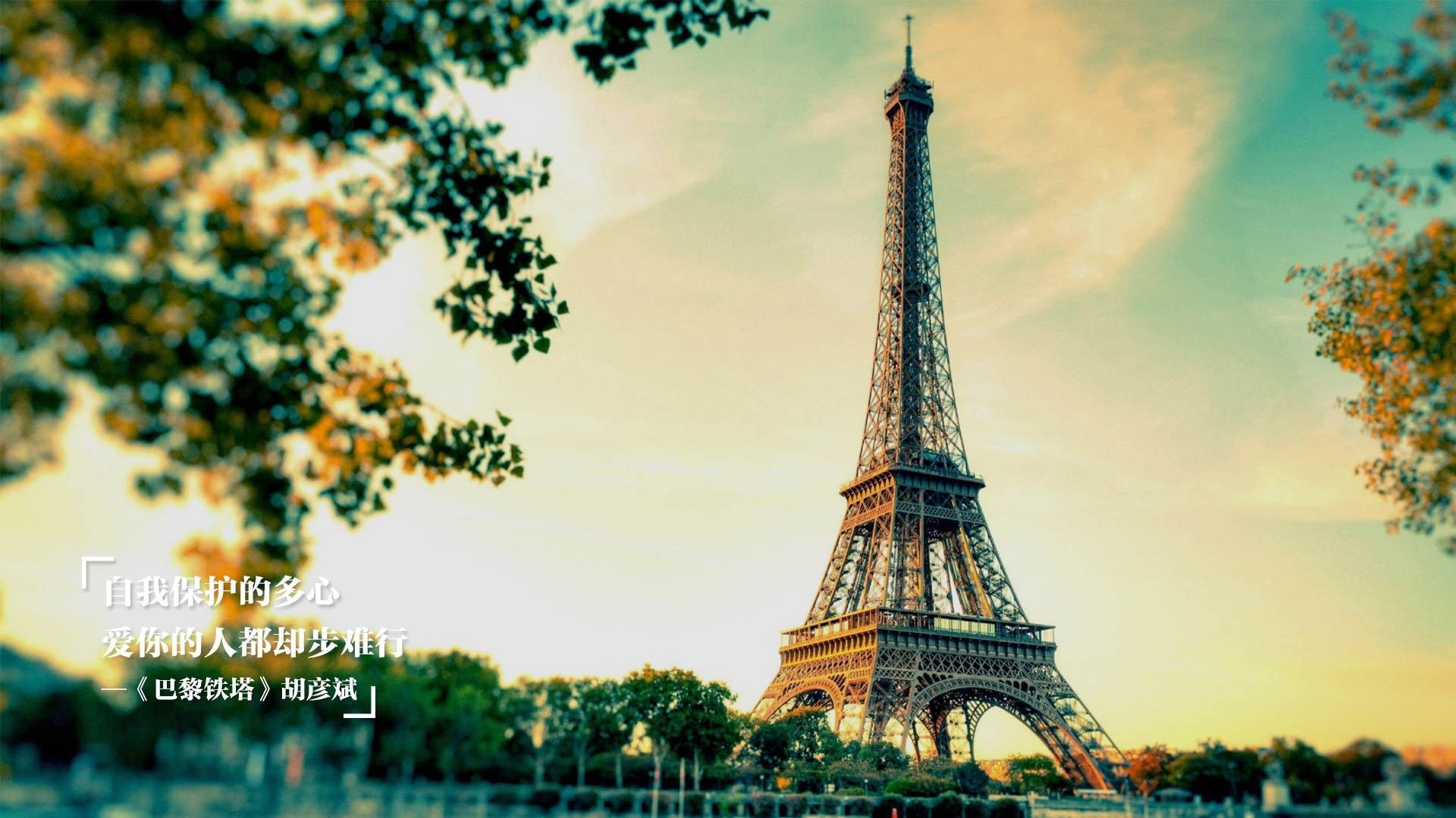 陈佳全程领先赢得蝶泳银牌，陈佳ci