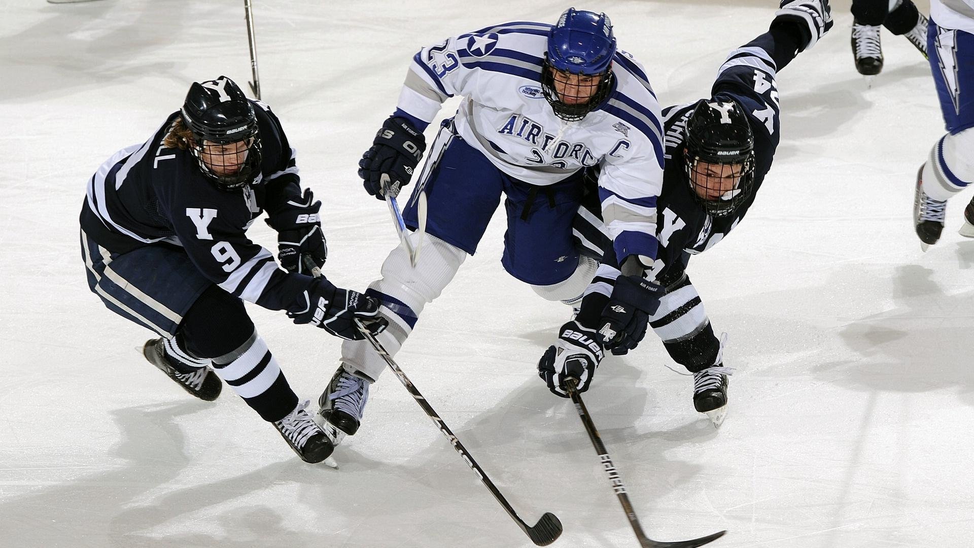 “荒野求生：沙漠、森林的极限对决”，荒野求生荒漠攻略